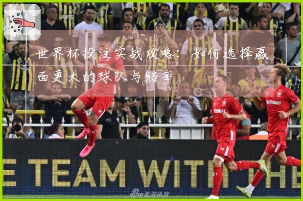 世界杯投注实战攻略：如何选择赢面更大的球队与赔率