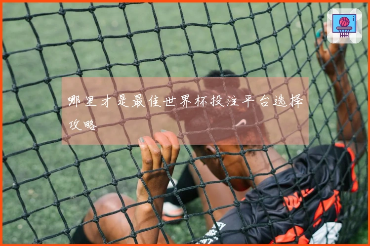 哪里才是最佳世界杯投注平台选择攻略