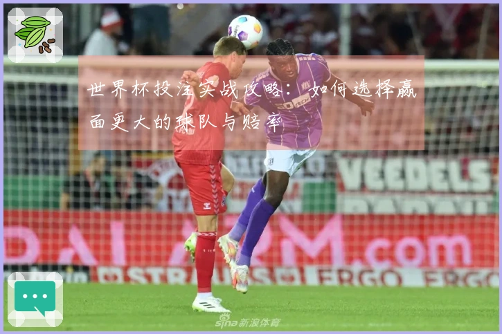 世界杯投注实战攻略：如何选择赢面更大的球队与赔率