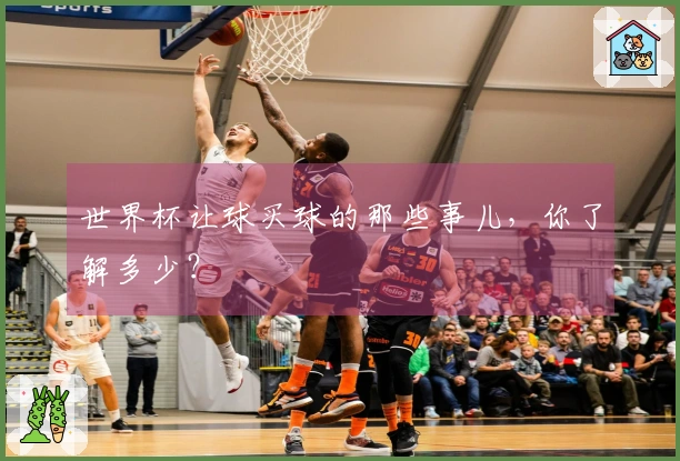 世界杯让球买球的那些事儿，你了解多少？